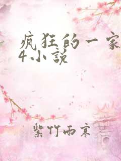 疯狂的一家PS4小说