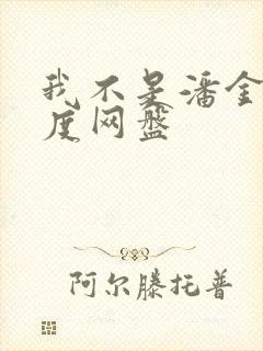 我不是潘金莲百度网盘