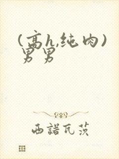 (高h,纯肉)男男
