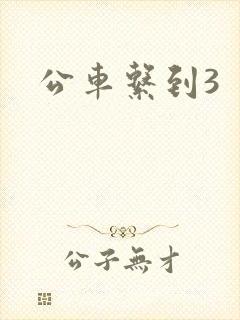 公车系到3