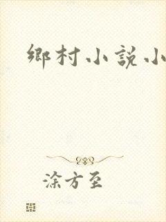 乡村小说小农民