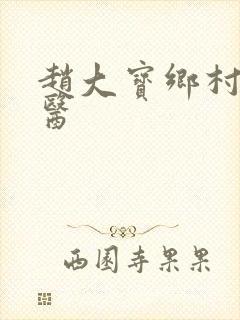 赵大宝乡村小神医