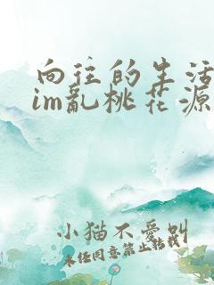向往的生活之yim乱桃花源