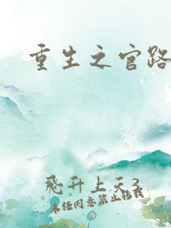 重生之官路风流