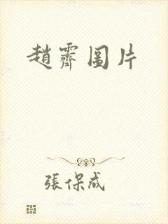 赵霁图片
