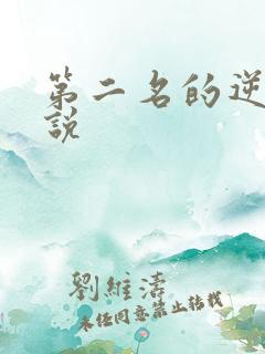 第二名的逆袭小说