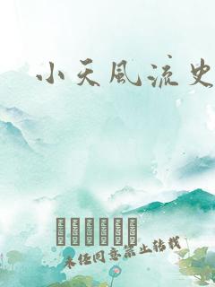 小天风流史