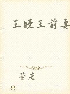 王晓玉前妻