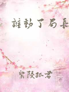 谁动了局长夫人