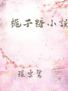 栀子糖小说
