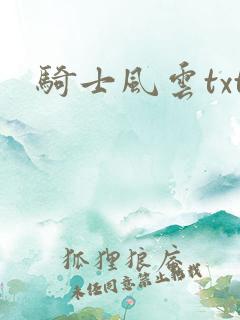 骑士风云txt