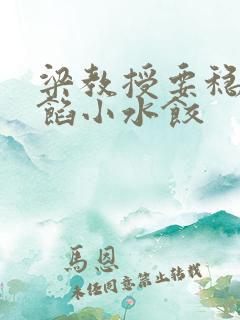 梁教授要稳住肉馅小水饺