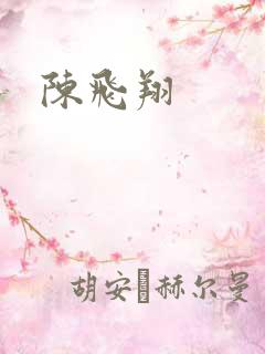 陈飞翔
