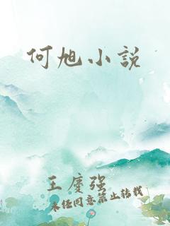 何旭小说
