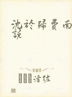 沈于归费南城小说