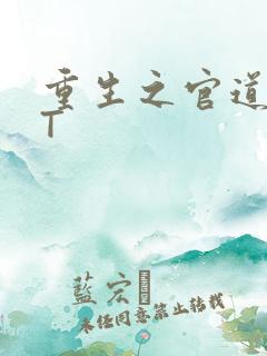重生之官道TXT