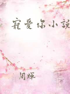 宠爱你小说