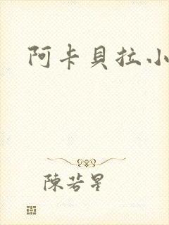 阿卡贝拉小说