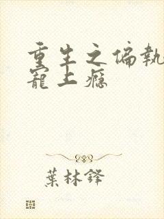 重生之偏执老公宠上瘾