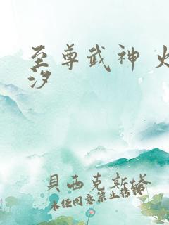 至尊武神 火龙汐