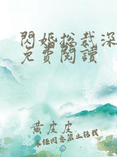 闪婚总裁深深宠免费阅读