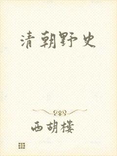 清朝野史