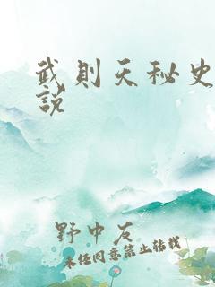武则天秘史 小说