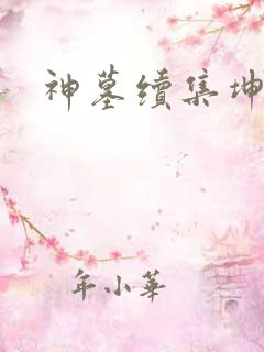 神墓续集坤飞