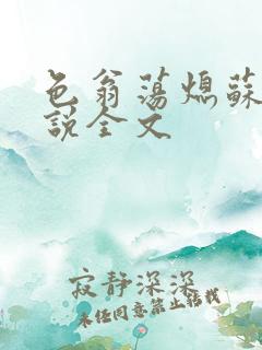 色翁荡熄苏钥小说全文