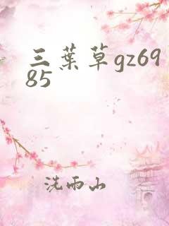 三叶草gz6985