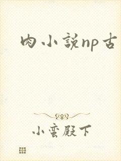 肉小说np古代