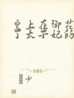 皇上在御花园c了太子妃的网剧