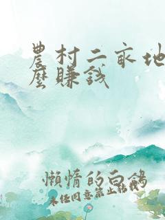 农村二亩地种什么赚钱