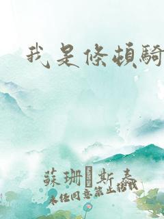 我是条顿骑士