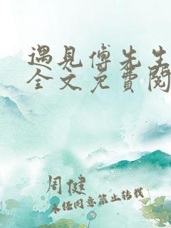 遇见傅先生小说全文免费阅读
