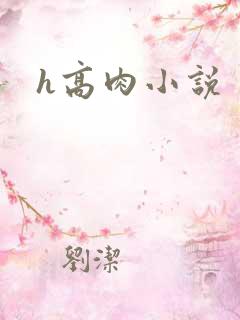 h高肉小说