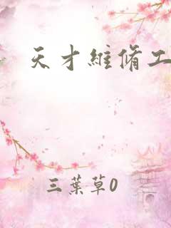 天才维修工