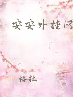 安安外挂网