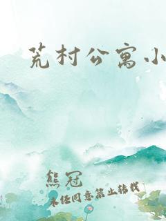 荒村公寓小说