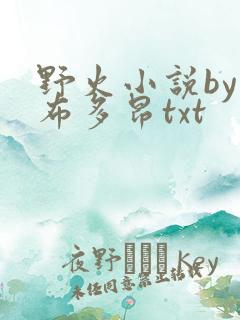 野火小说by夏布多昂txt