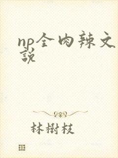 np全肉辣文小说