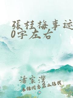张桂梅事迹600字左右