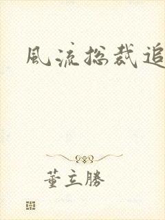 风流总裁追妻记