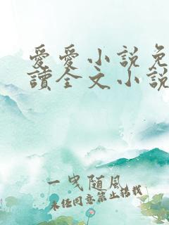 爱爱小说免费阅读全文小说乡村