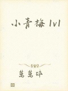 小青梅 1v1