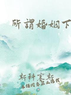 所谓婚姻下载