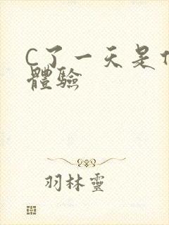 C了一天是什么体验