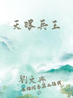 天眼兵王