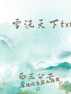 雪洗天下txt