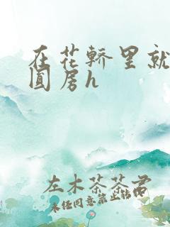 在花轿里就开始圆房h